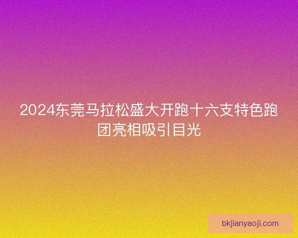 2024东莞马拉松盛大开跑十六支特色跑团亮相吸引目光 2024东莞马拉松盛大开跑十六支特色跑团亮相吸引目光