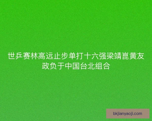 世乒赛林高远止步单打十六强梁靖崑黄友政负于中国台北组合 世乒赛林高远止步单打十六强梁靖崑黄友政负于中国台北组合