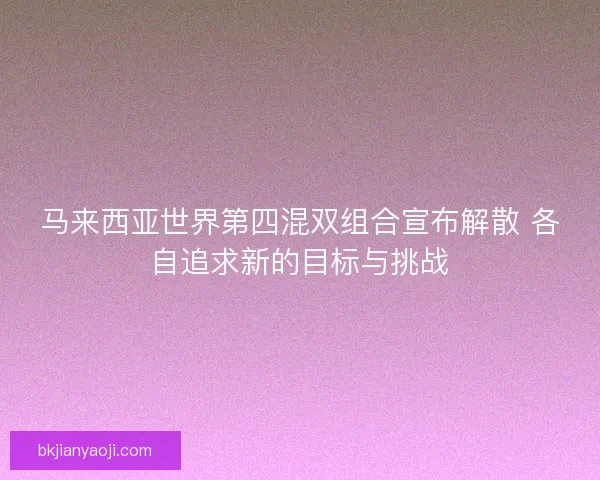 马来西亚世界第四混双组合宣布解散 各自追求新的目标与挑战