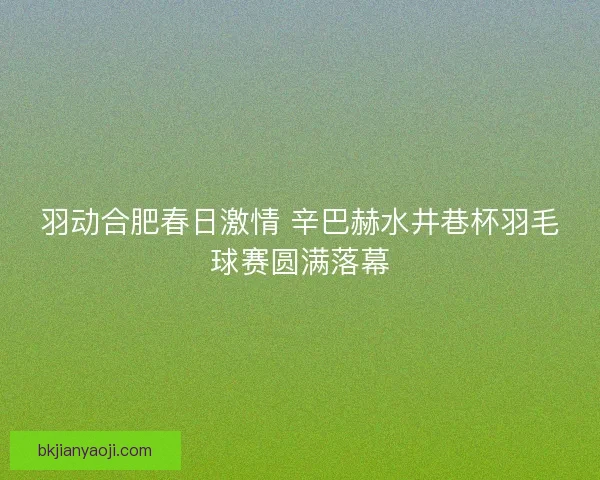 羽动合肥春日激情 辛巴赫水井巷杯羽毛球赛圆满落幕 羽动合肥春日激情 辛巴赫水井巷杯羽毛球赛圆满落幕